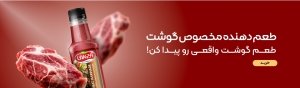 طعم‌دهنده گوشت