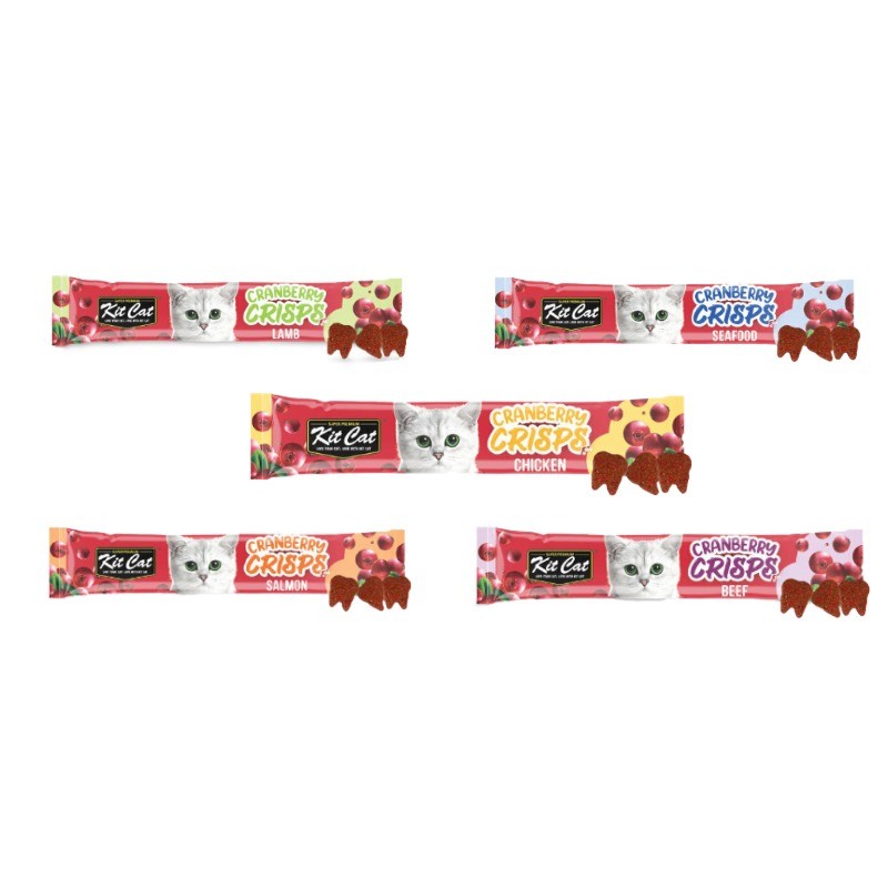 تشویقی چیپسی گربه کیت کت مدل مراقبت از مجاری ادراری Kit Cat Crisps بسته 5 عددی