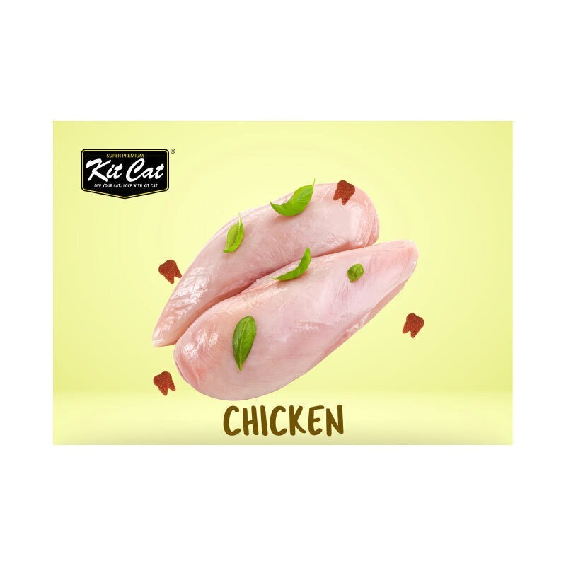 تشویقی چیپسی گربه کیت کت مراقبت از مجاری ادراری با طعم مرغ Kit Cat Crisps Cat Treat With Chicken وزن 20 گرم