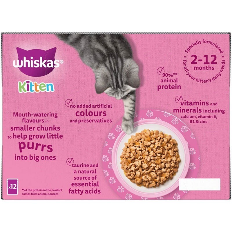 پوچ بچه گربه ویسکاس با طعم سالمون Whiskas Kitten in Jelly وزن 85 گرم
