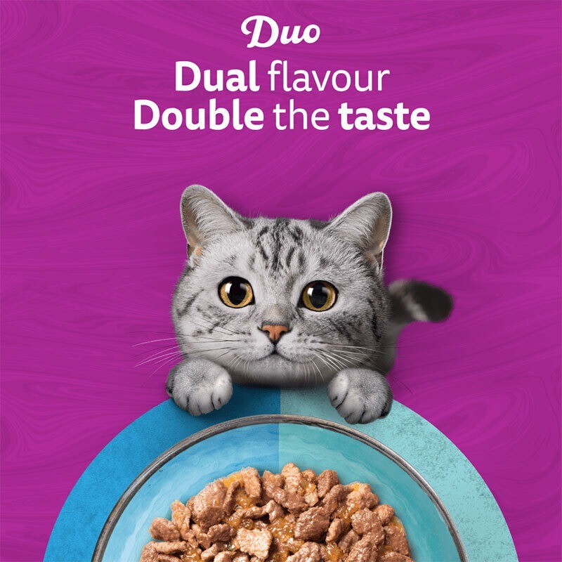 پوچ گربه ویسکاس با طعم میکس ماهی‌های دریایی Whiskas Duo Ocean Delights in jelly بسته 12 عددی