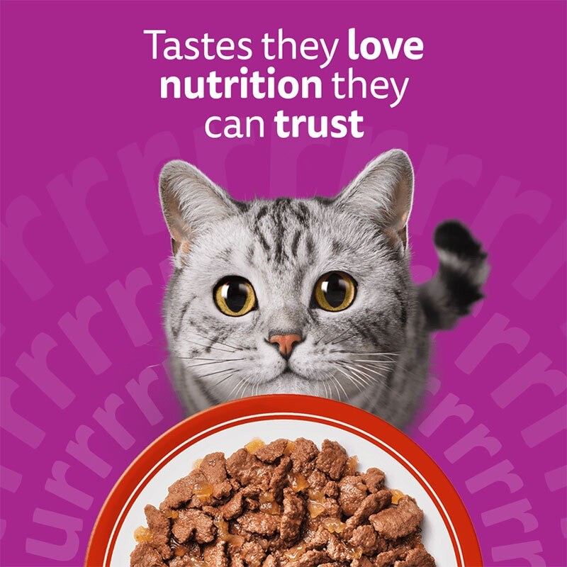 پوچ گربه ویسکاس با طعم گوشت بره Whiskas Meaty Meals in Jelly وزن 85 گرم