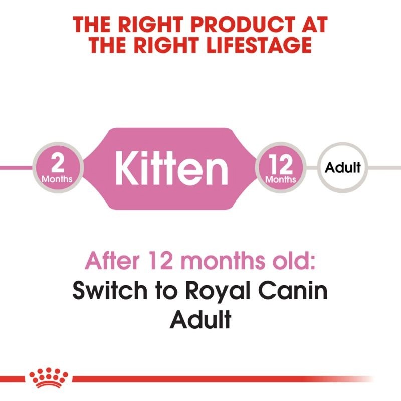 غذای خشک بچه گربه رویال کنین Royal Canin Kitten وزن 2 کیلوگرم