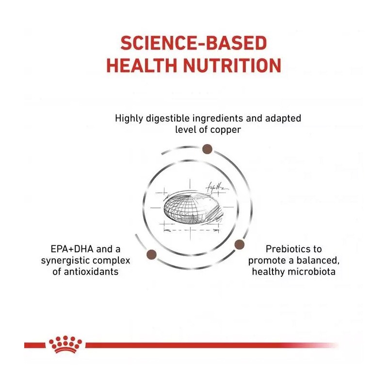 غذای خشک گربه هپاتیک رویال کنین Royal Canin Hepatic وزن 2 کیلوگرم