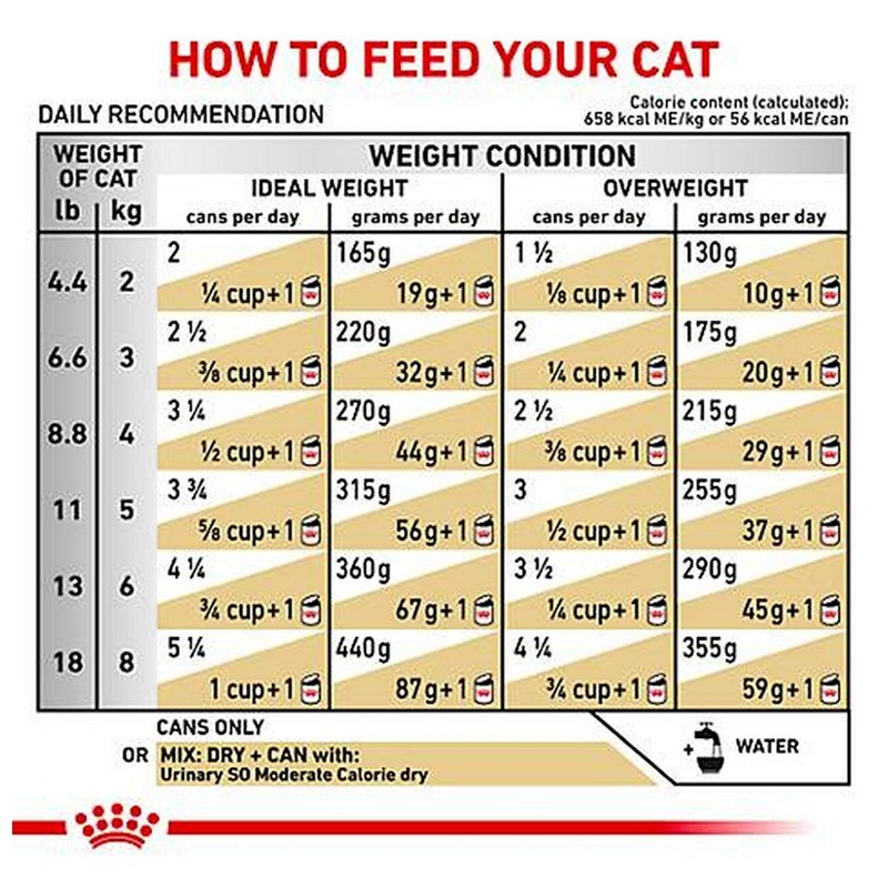 غذای خشک گربه رویال کنین Royal Canin Urinary S/O وزن 1.5 کیلوگرم