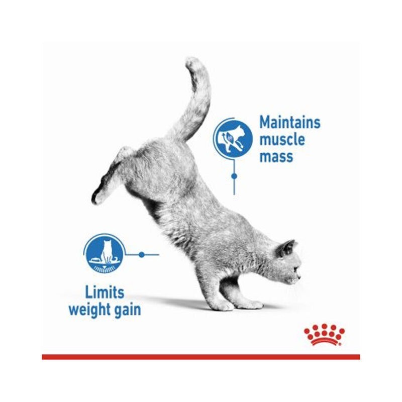 غذای خشک گربه رژیمی رویال کنین Royal Canin Light Weight Care وزن 1.5 کیلوگرم