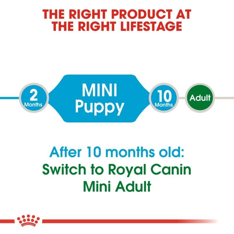 غذای خشک توله سگ نژاد کوچک رویال کنین Royal Canin Mini Puppy وزن 2 کیلوگرم