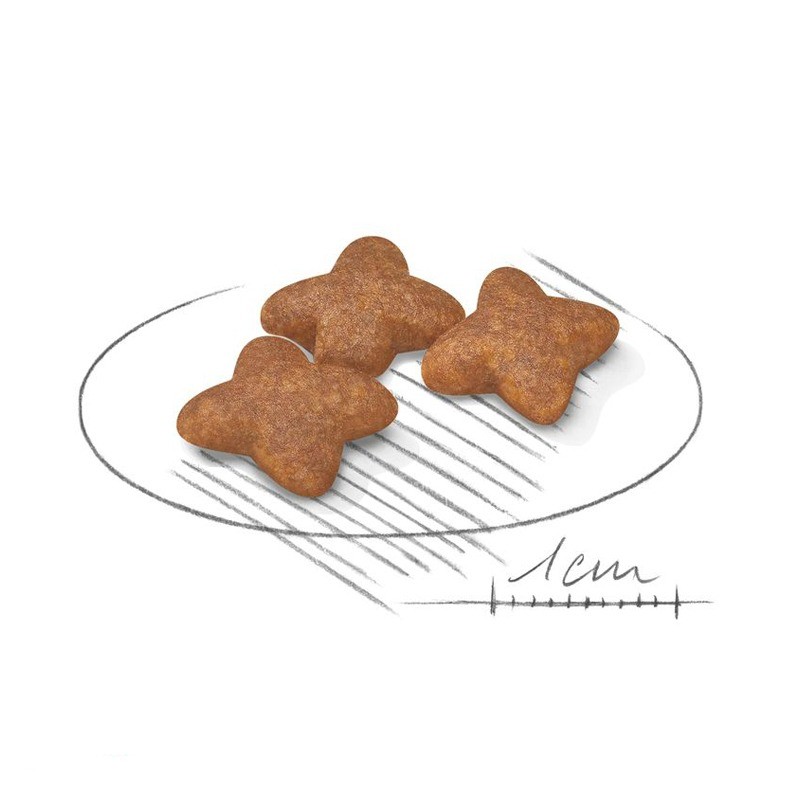 غذای خشک سگ بالغ نژاد کوچک رویال کنین Royal Canin Mini Adult وزن 8 کیلوگرم
