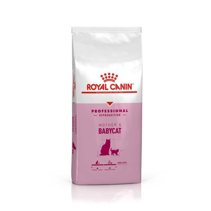 غذای خشک گربه رویال کنین Royal Canin Professional Mother & Babycat وزن 10 کیلوگرم