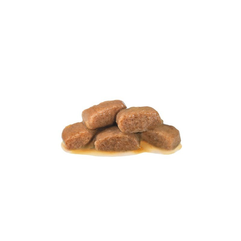 پوچ گربه رویال کنین با طعم ماهی Royal Canin Renal Fish وزن 85 گرم