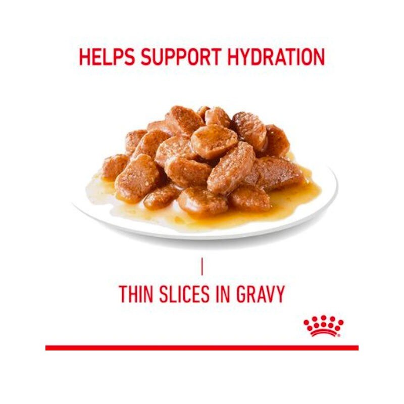 پوچ گربه رویال کنین Royal Canin Hair & Skin In Gravy وزن 85 گرم