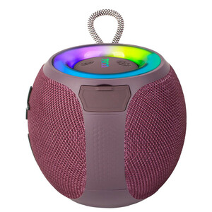 اسپیکر بلوتوثی قابل حمل تسکو مدل TS 23125