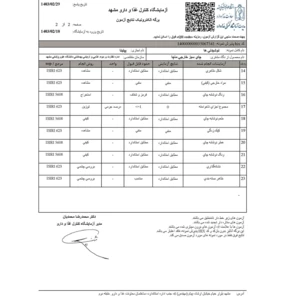 ماچا خالص تشریفاتی فله پپتینا – پاکت 500 گرمی