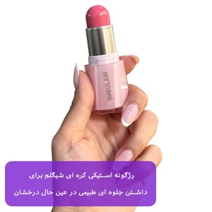 رژگونه کره ای شیگلم