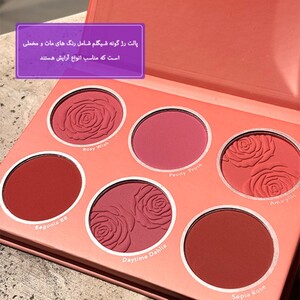 پالت رژ گونه شیگلم Floral flush Multicolor