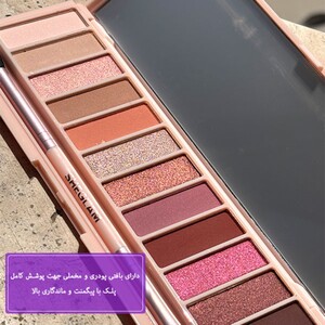 پالت سایه چشم بری شیگلم Berry‎