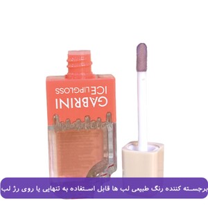 لیپ گلاس بستنی گابرینی ICE