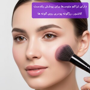 براش کانتور پودری زد وان Z-363