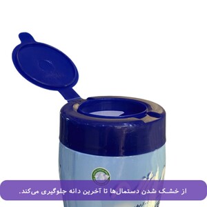 دستمال مرطوب پاک کننده آرایش نینو 70 عددی