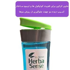 شامپو کراتینه تقویت کننده هرباسنس آردن