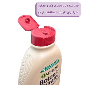 شامپو ترمیم کننده گارنیه عصاره افرا Botanic Therapy