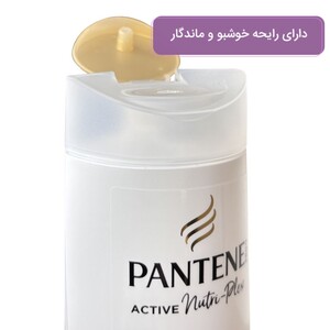 شامپو ضد ریزش پنتن Dokulme Karsiti