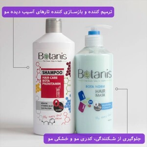 ماسک مو آبرسان بوتا نورم بوتانیس 400ml
