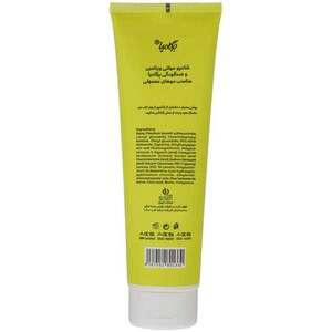 شامپو برگامیا مو معمولی 250ml