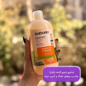 شامپو ترمیم کننده مو خشک باباریا 500ml