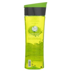 شامپو کراتینه موهای چرب آردن هرباسنس 300ml