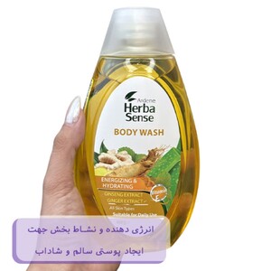 شامپو بدن عصاره زنجبیل و جینسینگ آردن هرباسنس 400ml