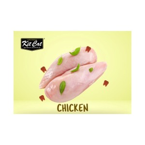 تشویقی چیپسی گربه کیت کت مراقبت از مجاری ادراری با طعم مرغ Kit Cat Crisps Cat Treat With Chicken وزن 20 گرم