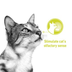 پوچ گربه حساس به بو رویال کنین Royal Canin Sensory Smell In Gravy وزن 85 گرم