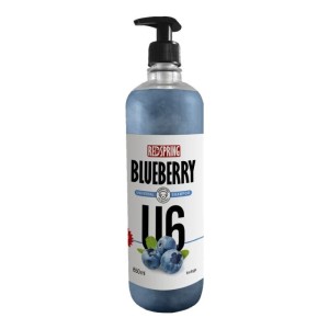 شامپو سگ U6 با عصاره بلوبری رداسپرینگ Redspring Blueberry Universal Shampoo U6 حجم 850 میلی لیتر