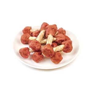 تشویقی سگ ونپی با طعم گوشت بره Wanpy Jerky Dumbbells وزن 100 گرم