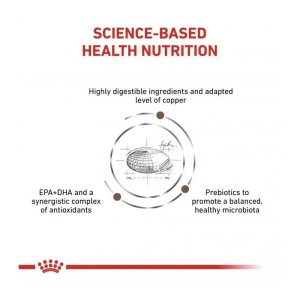 غذای خشک گربه هپاتیک رویال کنین Royal Canin Hepatic وزن 2 کیلوگرم