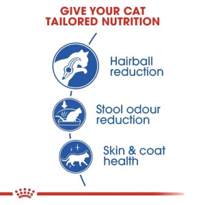 غذای خشک گربه رویال کنین Royal Canin Indoor Home Life Long Hair وزن 2 کیلوگرم