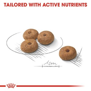 غذای خشک سگ عقیم شده‌ نژاد کوچک رویال کنین Royal Canin Mini Sterilised وزن 3 کیلوگرم