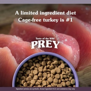غذای خشک گربه تیست آف د وایلد با طعم بوقلمون Taste Of The Wild Prey Limited Ingredient Recipe Cat Food وزن 6.8 کیلوگرم | پت استوک