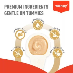 بستنی قاشقی گربه ونپی با طعم ماهی سالمون سفارش اروپا Wanpy Lickable Cream بسته 10 عددی
