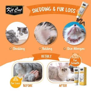 خمیر مکمل پوست و مو گربه کیت کت Kit Cat Skin & Coat Daily Supplement Gel وزن 120 گرم