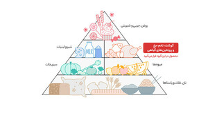 ناگت مرغ ب.آ مقدار 950 گرم