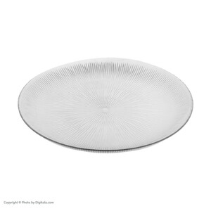 دیس نوری تازه مدل سولو کد t231031T بسته 2 عددی