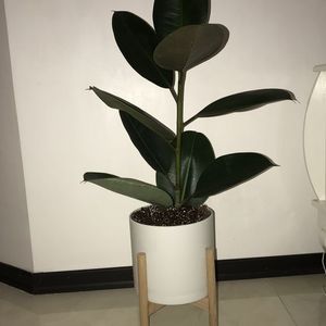 ماگ همزن‌دار مغناطیسی خودکار شارژی 380 میلی‌لیتری لپرسو LPCFFM0018