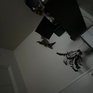 ماشین اصلاح موی سر و صورت پرینسلی مدل PR470AT-B