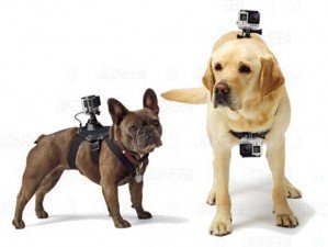 KingMa Dog Harness head camera