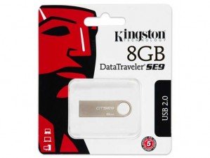 Kingston DTSE9 8GB flash memory