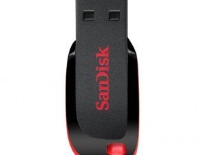 SanDisk Cruzer Blade 16GB flash memory