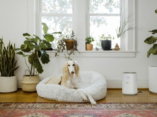 دستگاه تصفیه هوا کارچر مدل AF20