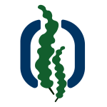 زینوفل